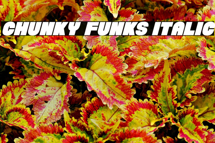 Chunky Funks Italic Example 2