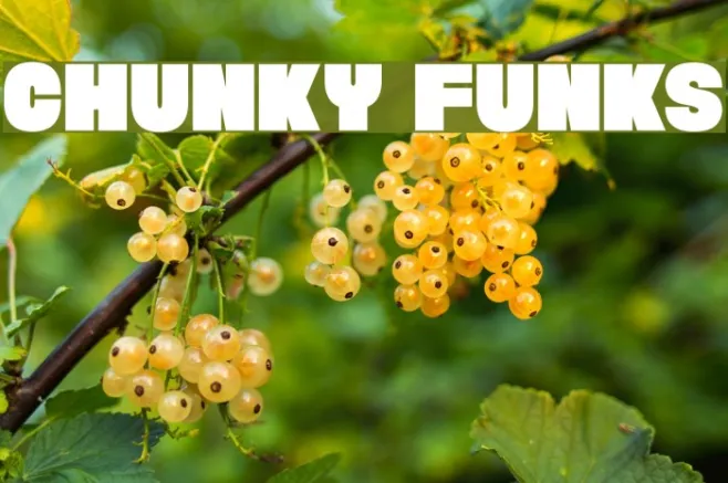 Chunky Funks Example 1