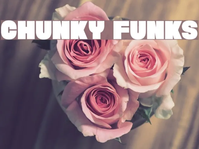 Chunky Funks Example 3