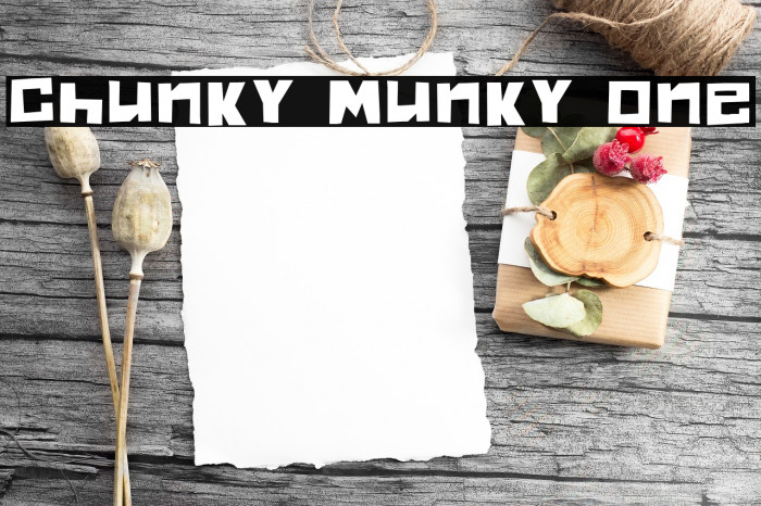 Chunky Munky One Font examples