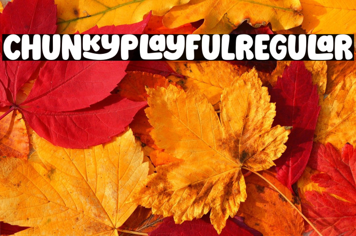 Chunky Playful Regular Example 1