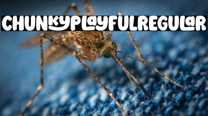 Chunky Playful Regular Example 3