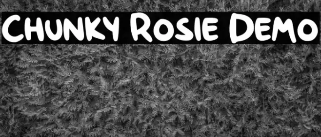 Chunky Rosie Demo Шрифта examples