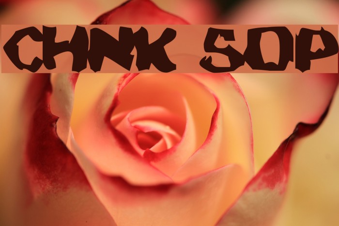 Chunky Soup Font examples