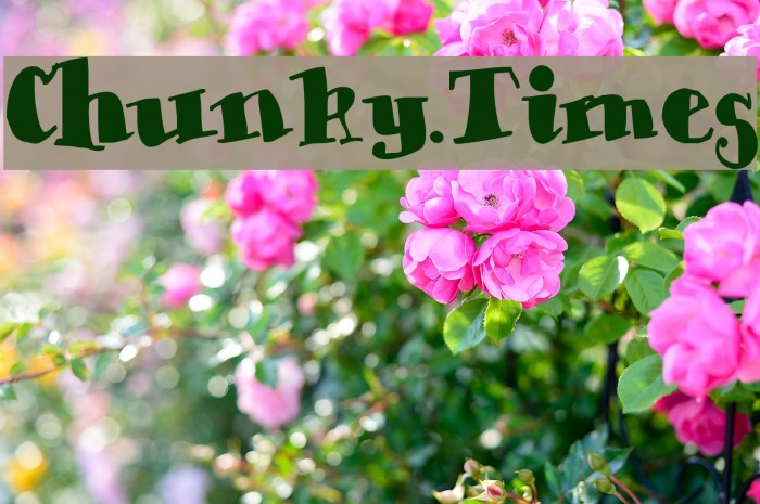 Chunky-Times Font examples
