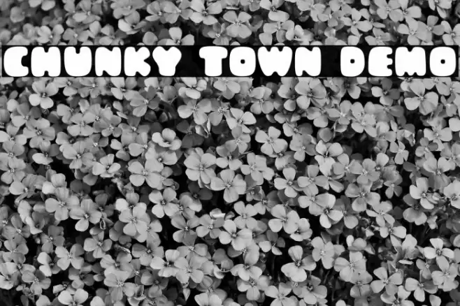 Chunky Town Demo Fuentes examples