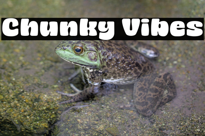 Chunky Vibes Font examples