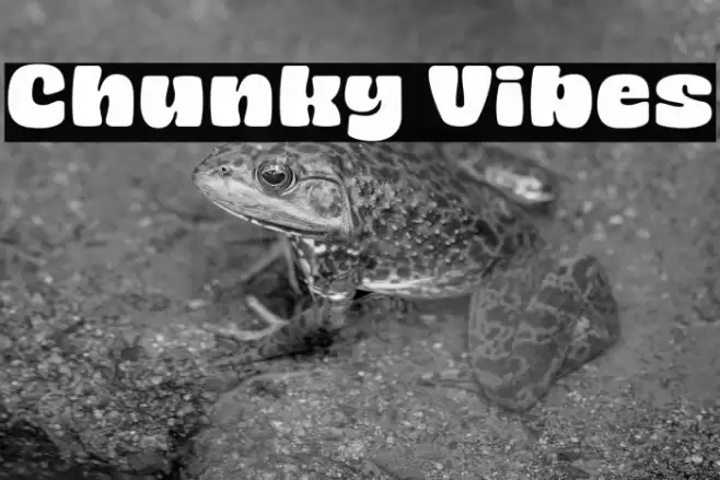 Chunky Vibes Font examples