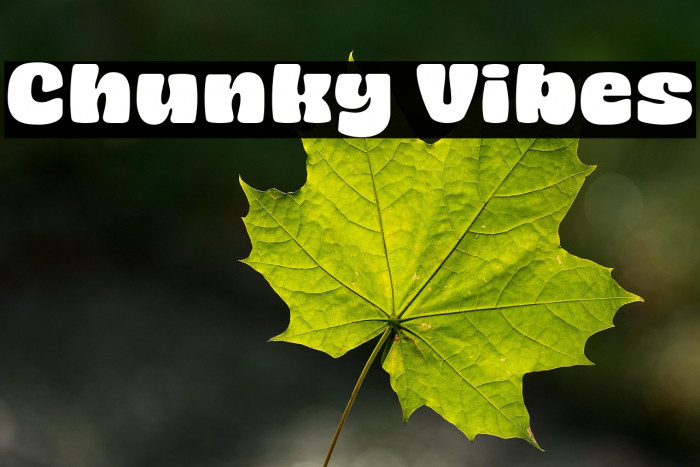 Chunky Vibes Font examples