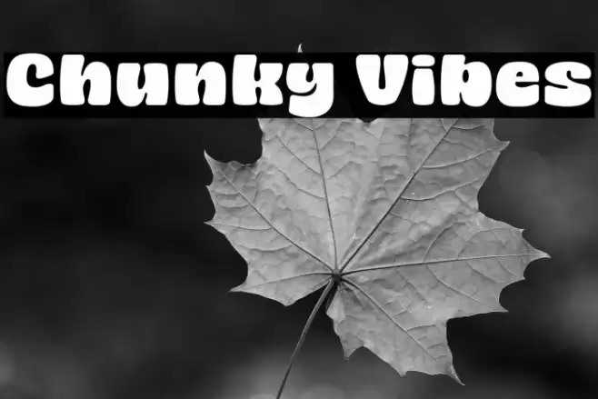 Chunky Vibes Font examples
