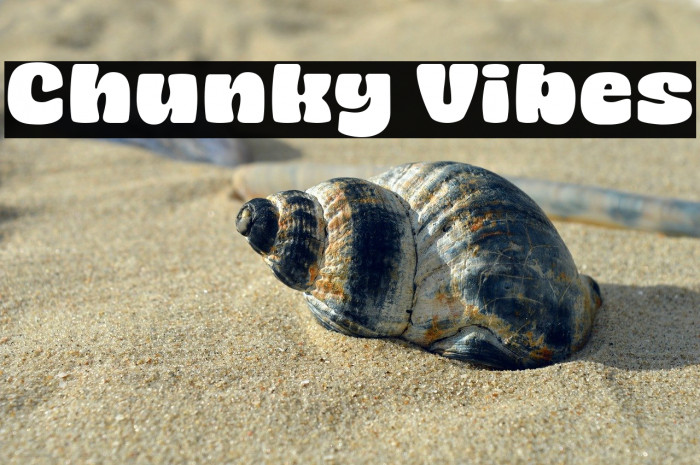 Chunky Vibes Font examples
