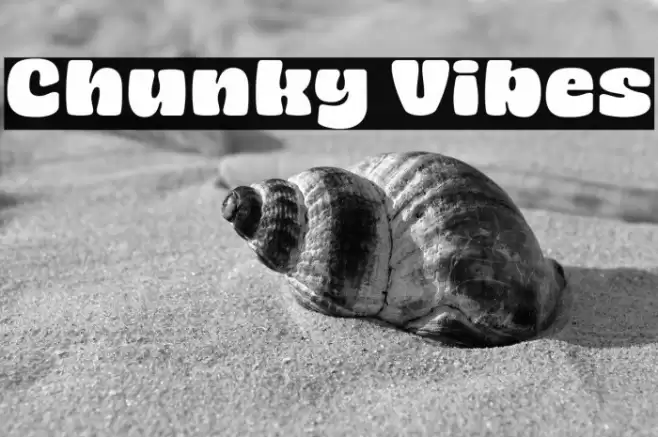 Chunky Vibes Font examples