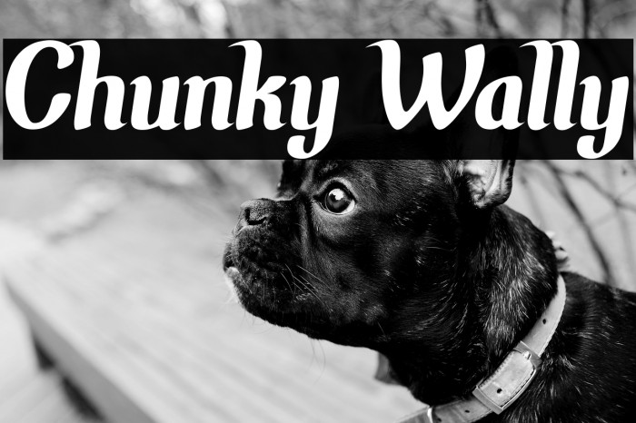 Chunky Wally Example 1