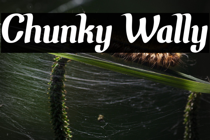 Chunky Wally Example 2