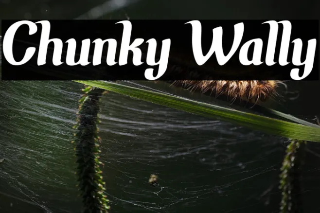 Chunky Wally Example 2