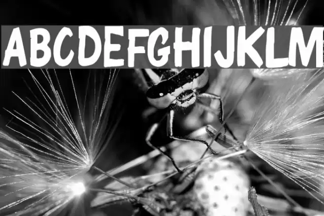 ChunkyComix SemiBold Schriftart examples