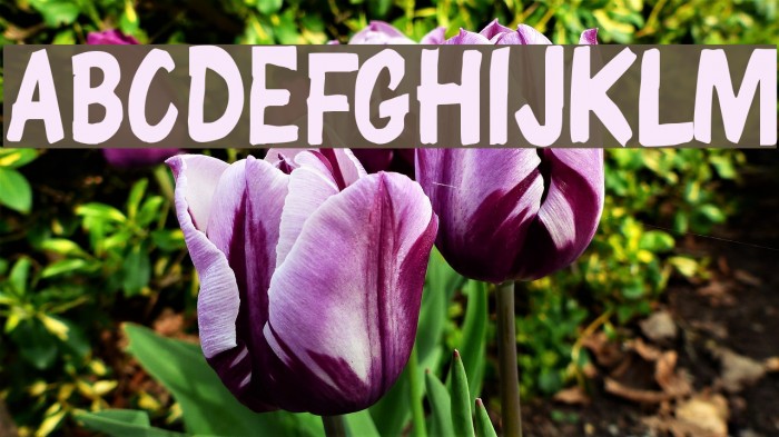 ChunkyComix SemiBold Font examples