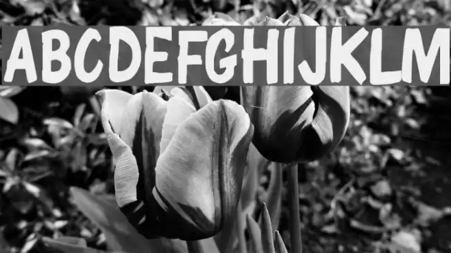 ChunkyComix SemiBold Schriftart examples
