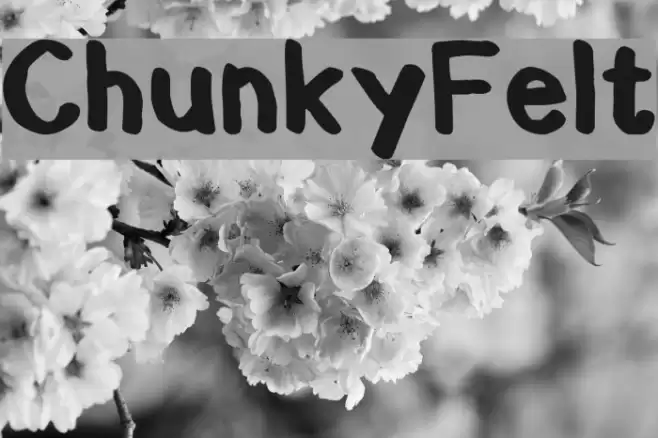 ChunkyFelt Font examples