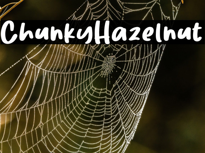 ChunkyHazelnut Example 2