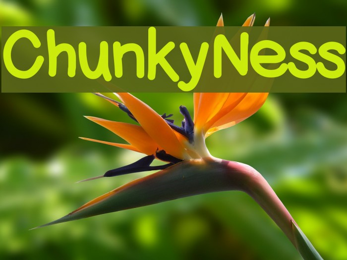 ChunkyNess Font examples