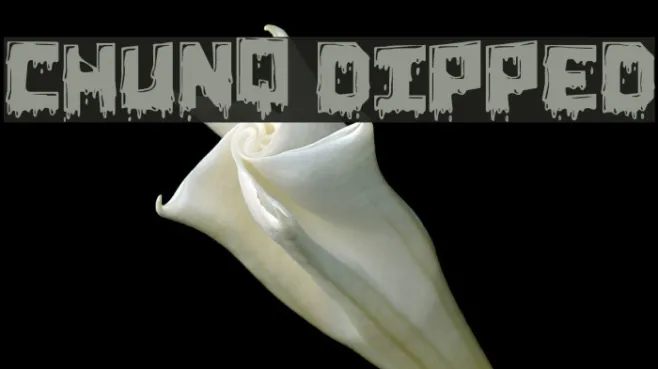 Chunq Dipped Example 1
