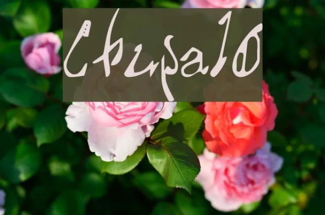 Chupa10 Example 3