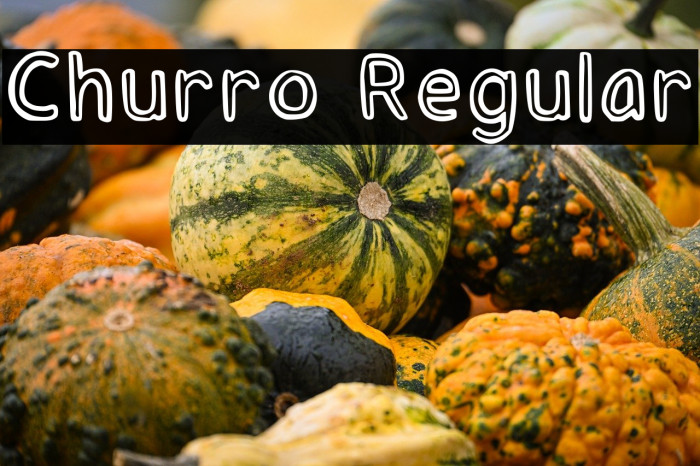 Churro Regular Example 2