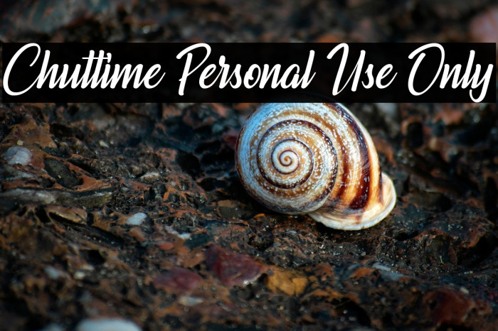 Chuttime Personal Use Only Example 2