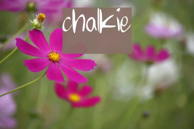chalkie Example 3