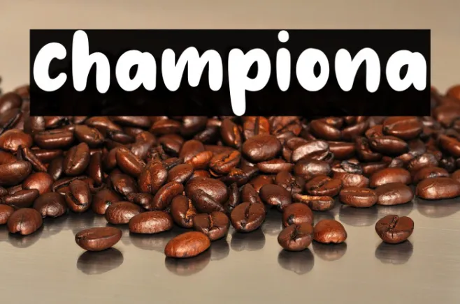 championa Example 2