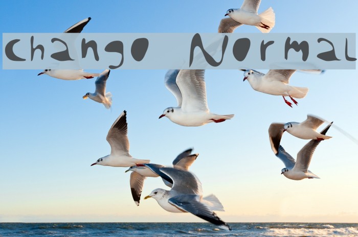 chango  Normal Example 2