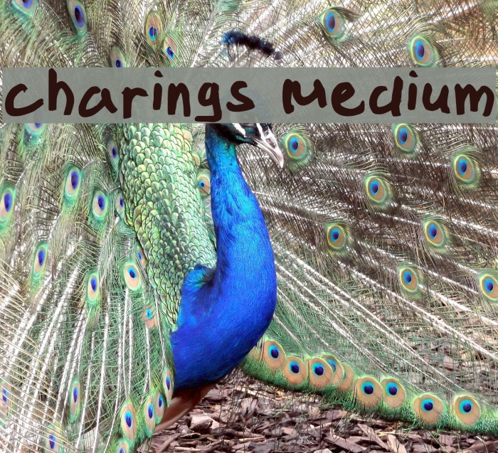 charings Medium Font examples