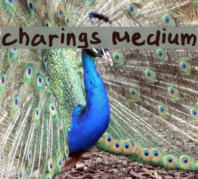 charings Medium Example 1