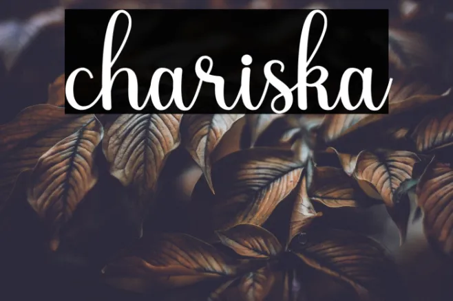 chariska Example 2