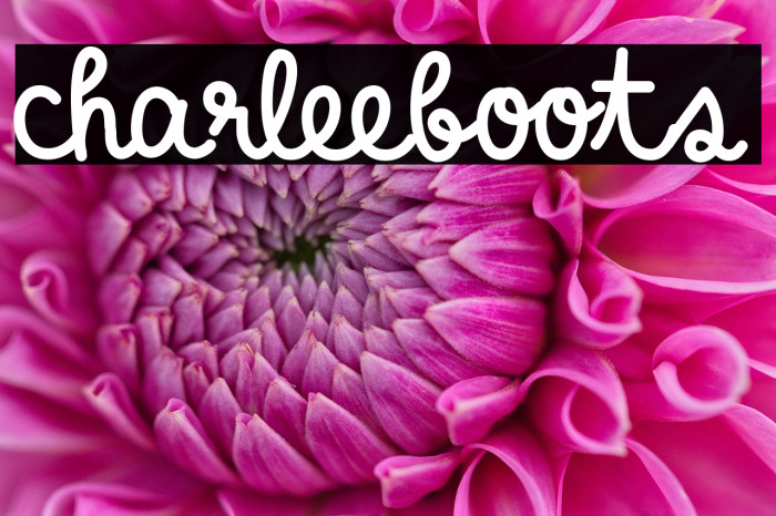 charleeboots Example 2