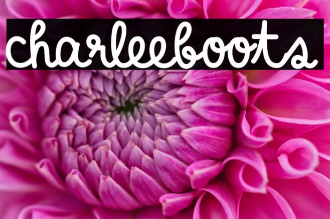 charleeboots Example 2