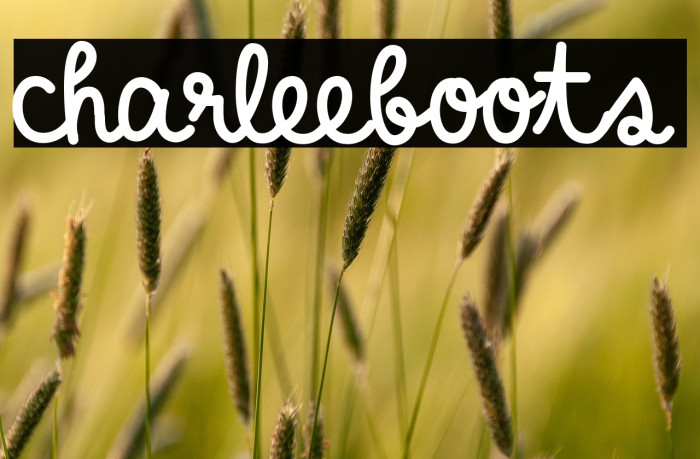 charleeboots Example 3