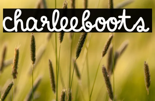 charleeboots Example 3