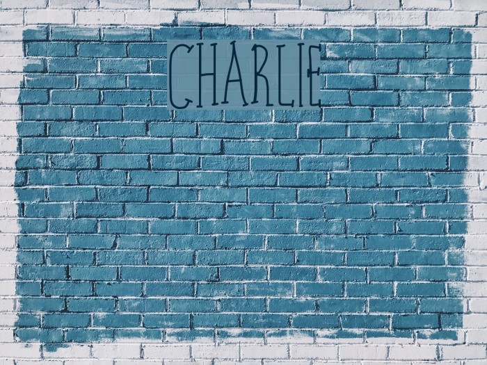 charlie Font examples
