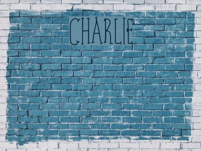 charlie Example 3