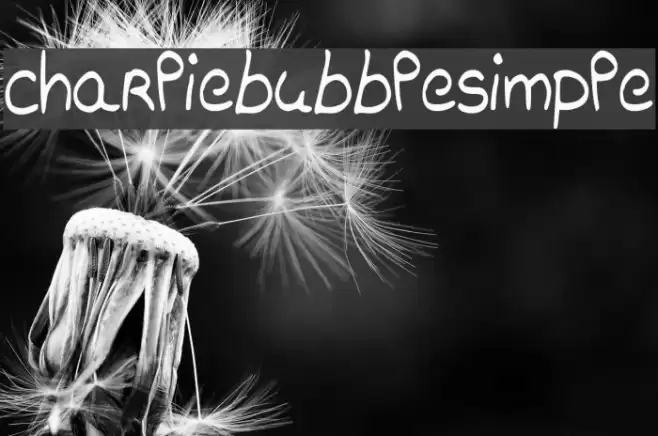 charliebubblesimple examples