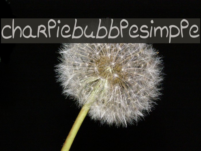 charliebubblesimple Font examples