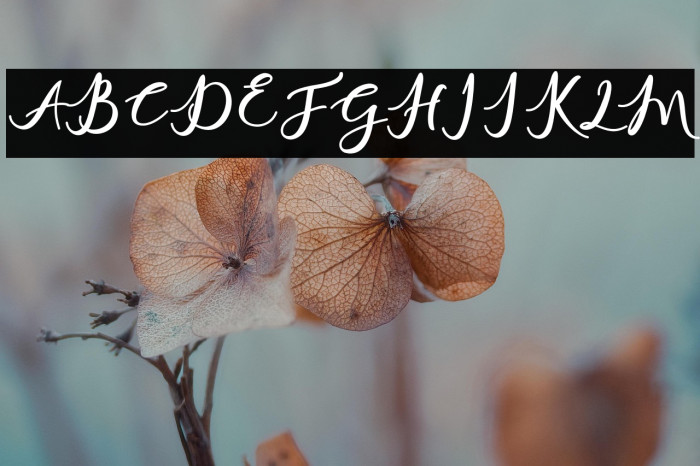 charlinda-Regular Example 2