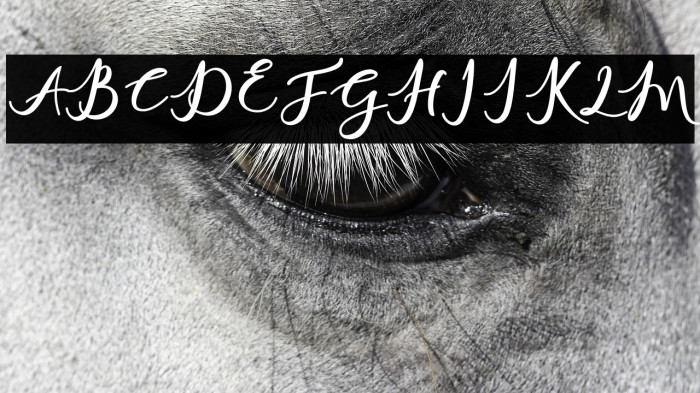 charlinda-Regular Example 3