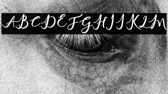 charlinda-Regular Font examples