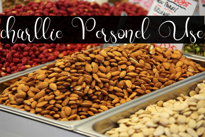 charllie Personel Use Example 1