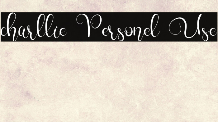 charllie Personel Use Example 2