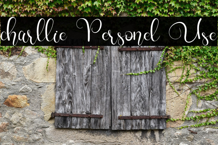 charllie Personel Use Example 3