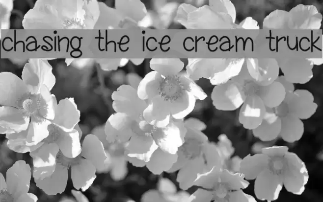 chasing the ice cream truck Font examples